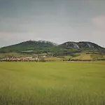 Vital Na Pálavě - Ubytování&životní Restart