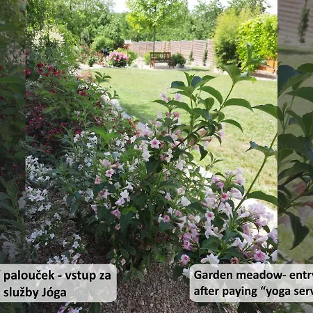 Vital Na Palave - & Zivotni Restart * Pasohlavky