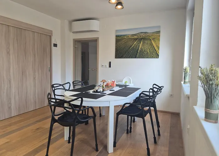 Vital Na Pálavě - Ubytování&životní Restart Apartamento *
