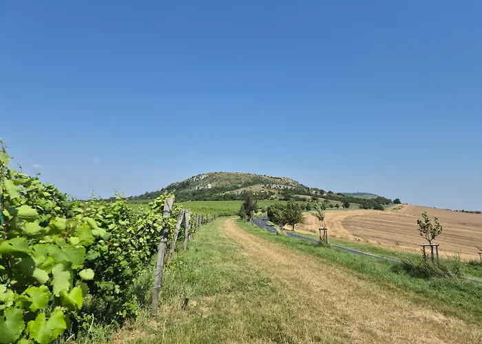 Apartamento Vital Na Pálavě - Ubytování&životní Restart